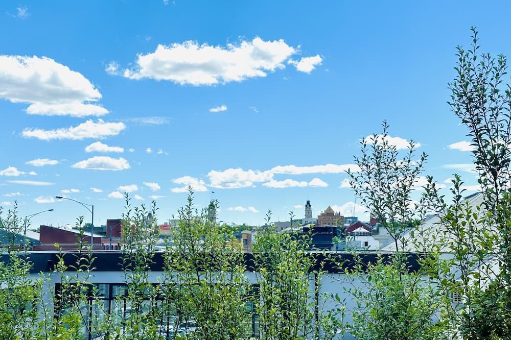 المظهر الخارجي