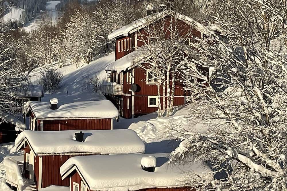 المظهر الخارجي