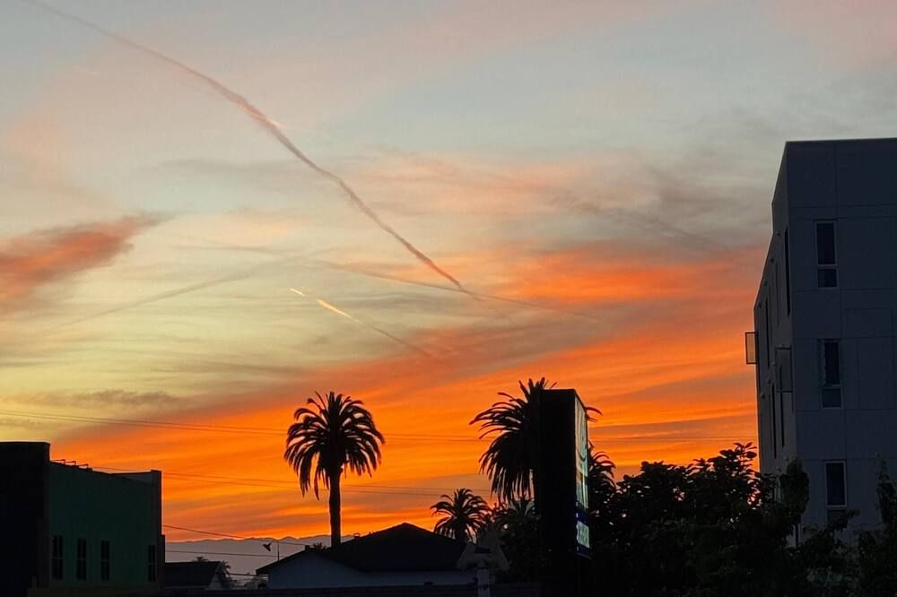 المظهر الخارجي