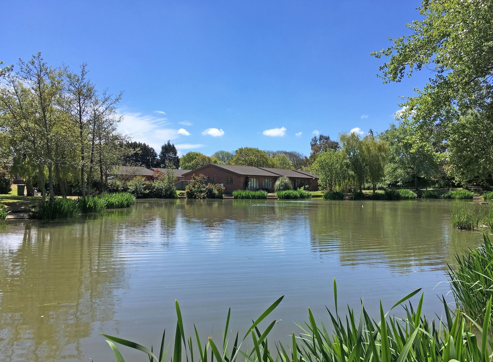 المظهر الخارجي