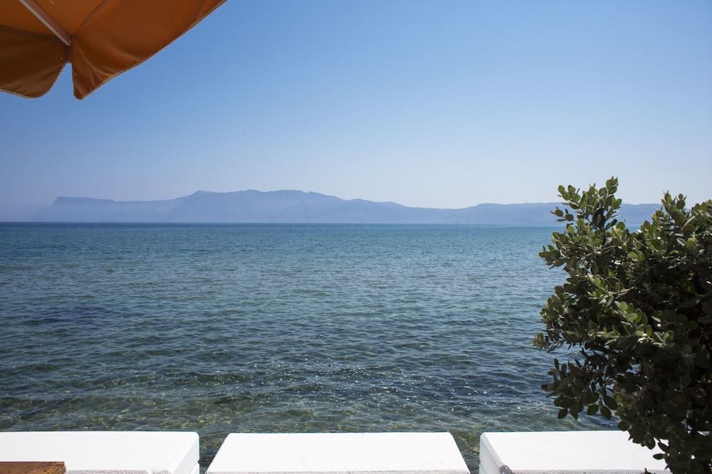 المظهر الخارجي