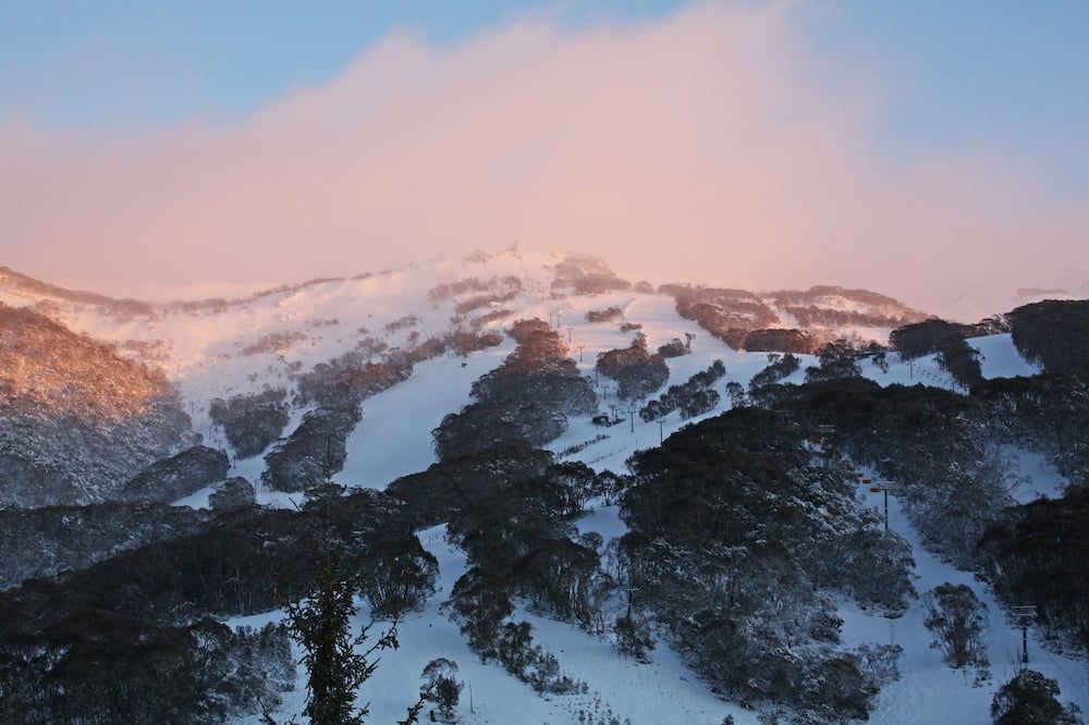 المظهر الخارجي