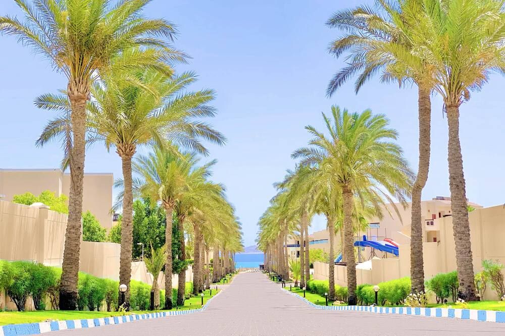 المظهر الخارجي