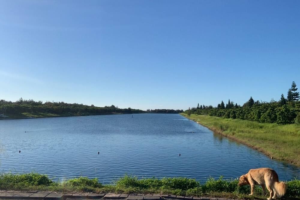 المظهر الخارجي