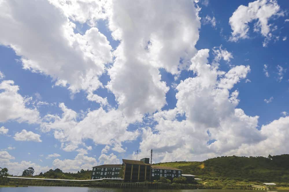 المظهر الخارجي