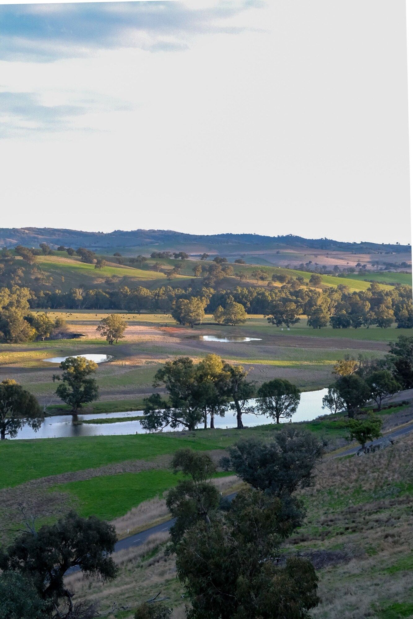 المظهر الخارجي