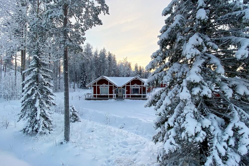 المظهر الخارجي