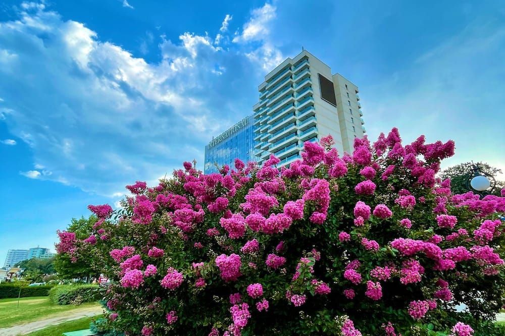 المظهر الخارجي