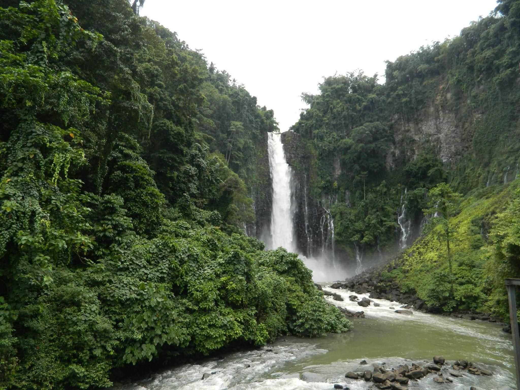 المظهر الخارجي