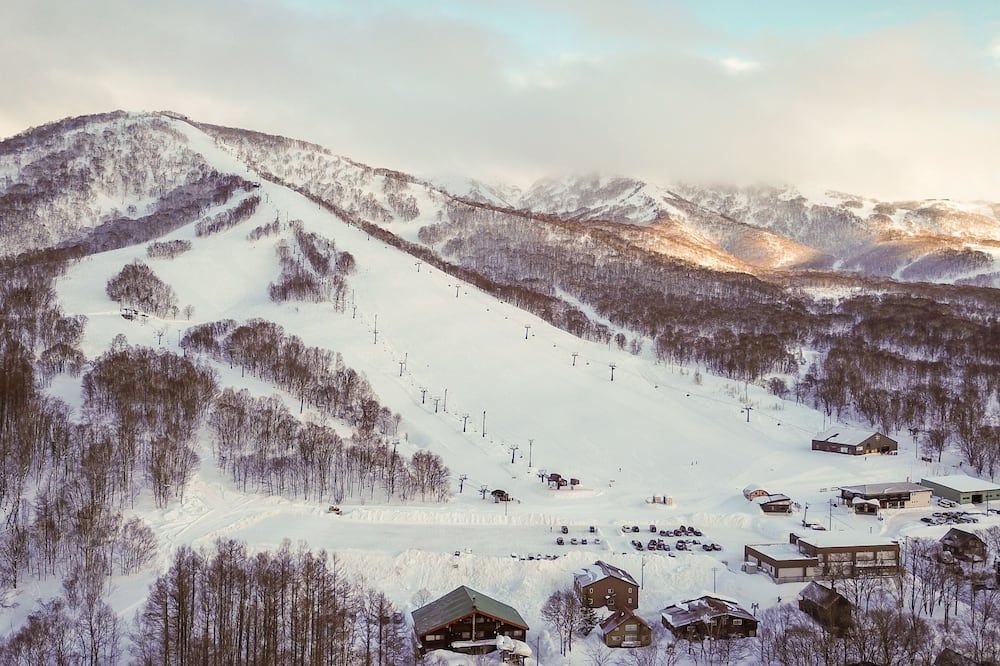 المظهر الخارجي