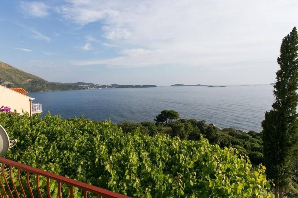 المظهر الخارجي