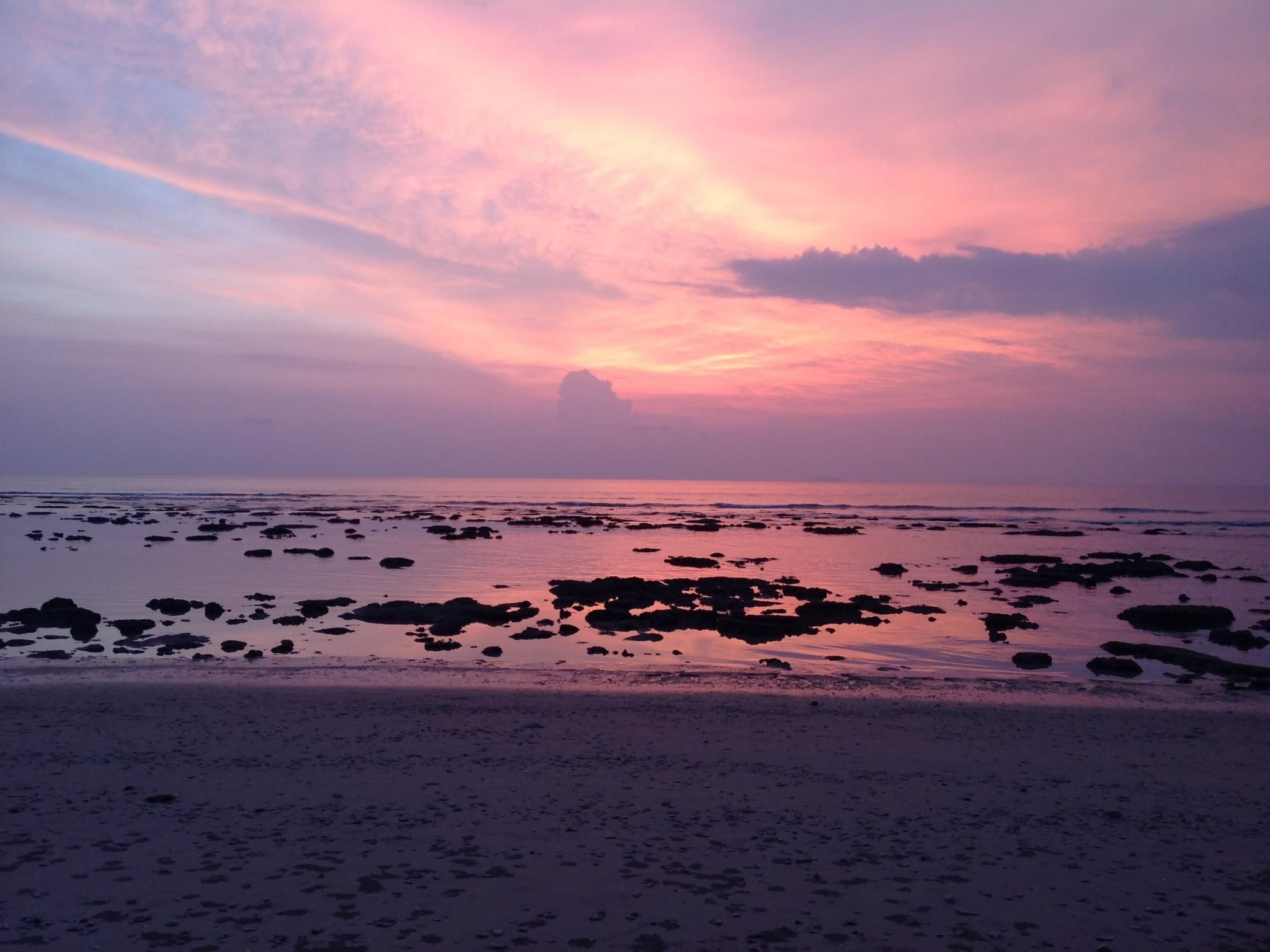 المظهر الخارجي