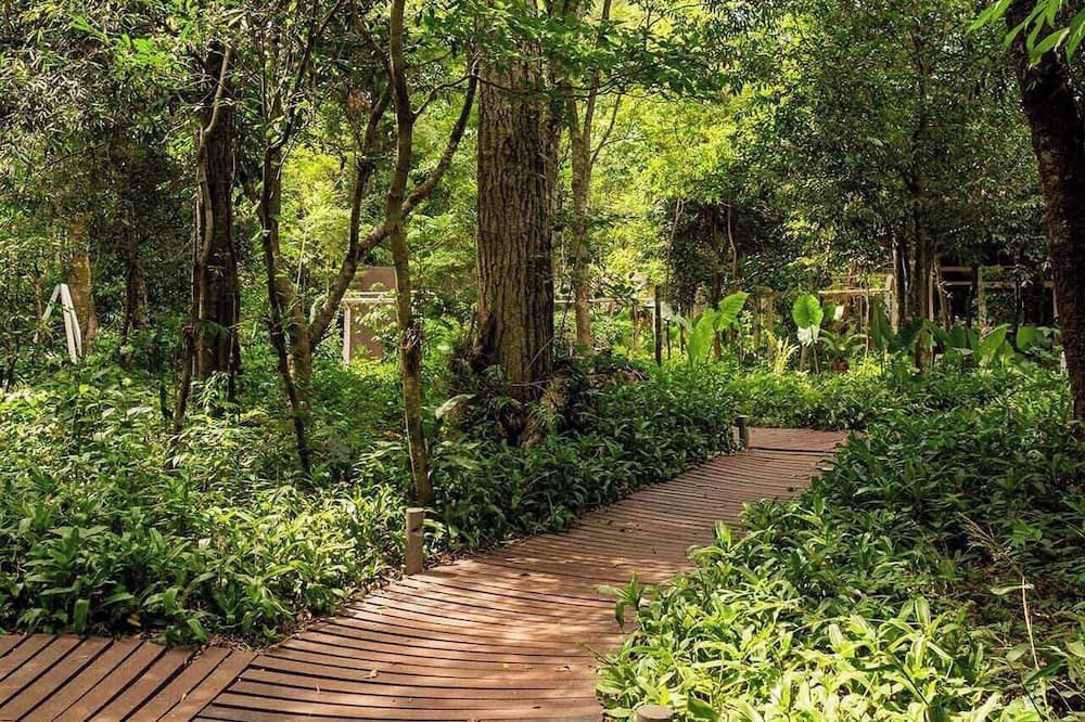 المظهر الخارجي