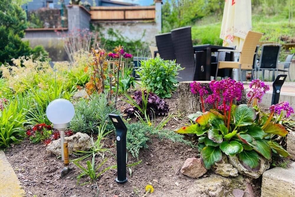 المظهر الخارجي