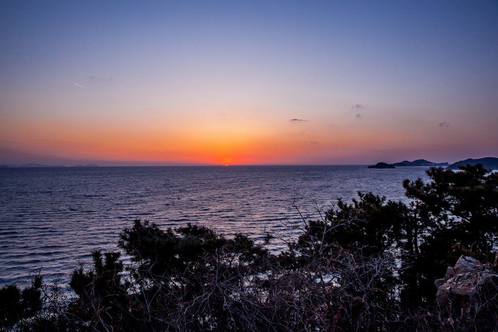 المظهر الخارجي صورة