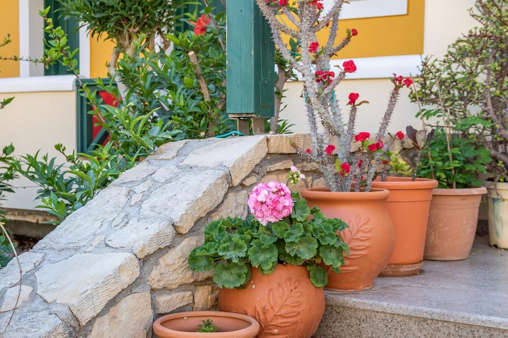 المظهر الخارجي