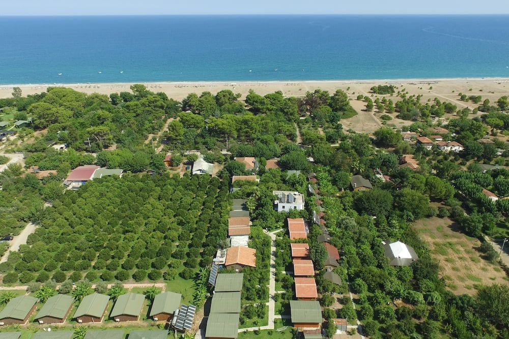 المظهر الخارجي