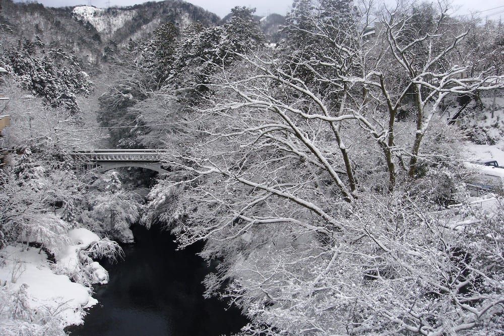 المظهر الخارجي