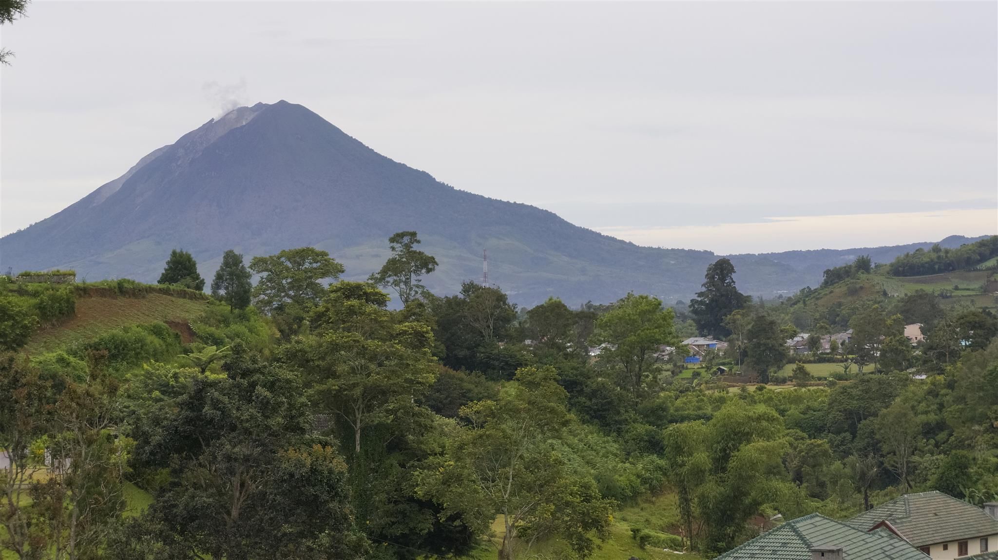 المظهر الخارجي