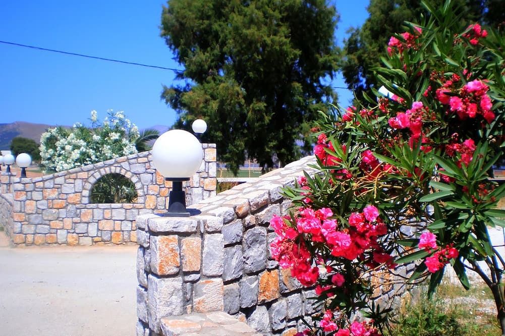 المظهر الخارجي