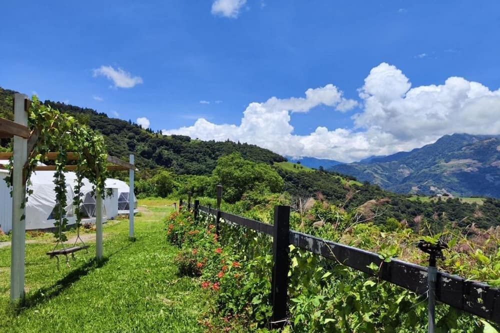 المظهر الخارجي