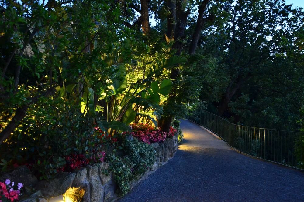 المظهر الخارجي