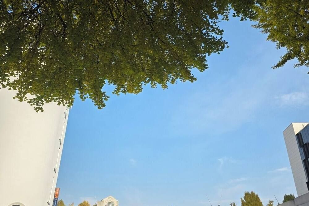 المظهر الخارجي