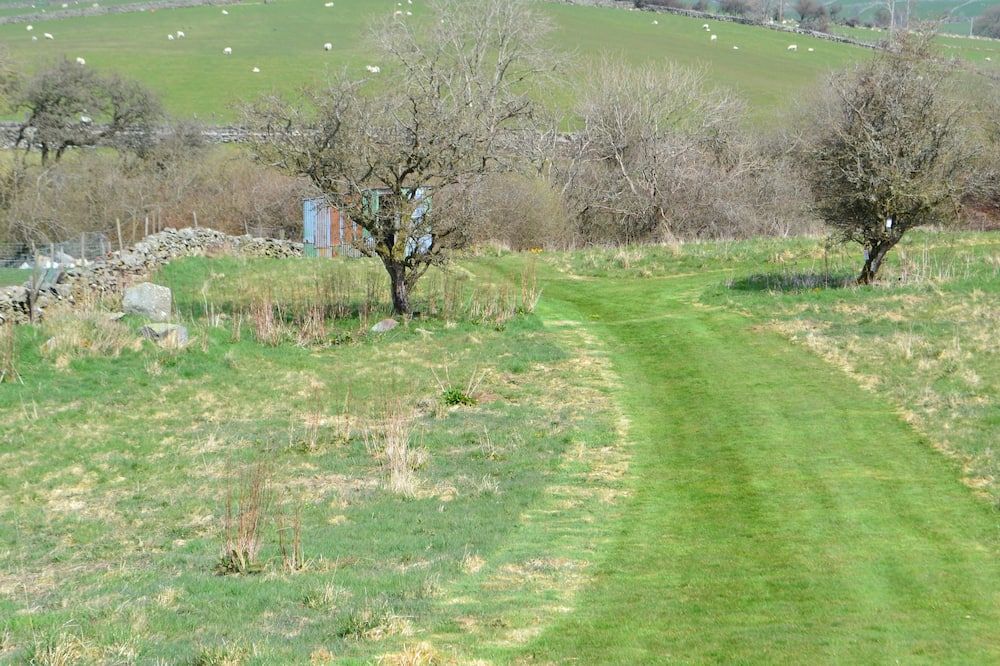 المظهر الخارجي