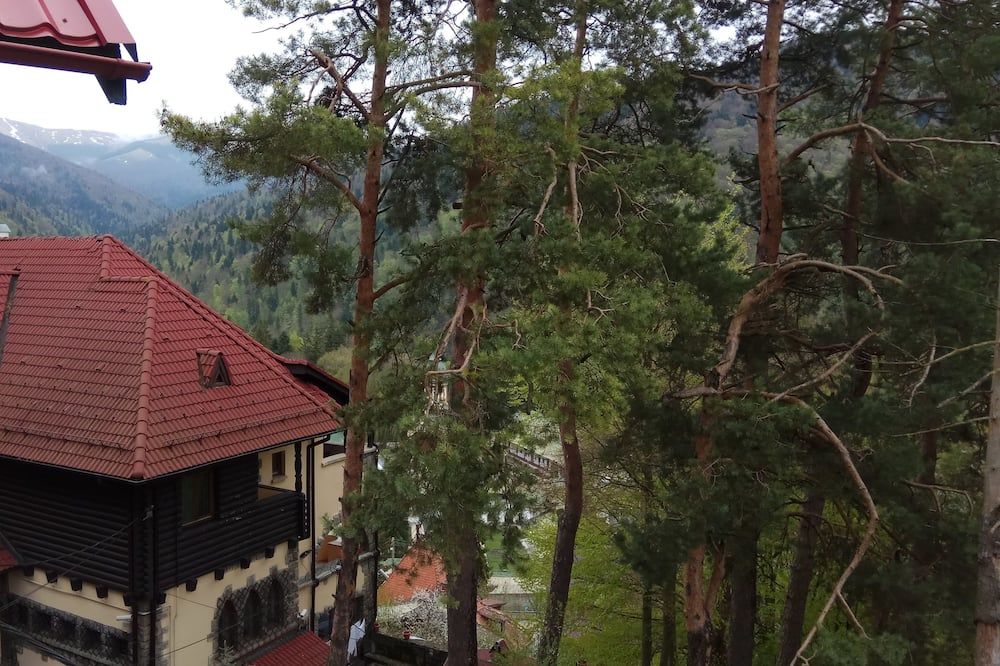 المظهر الخارجي