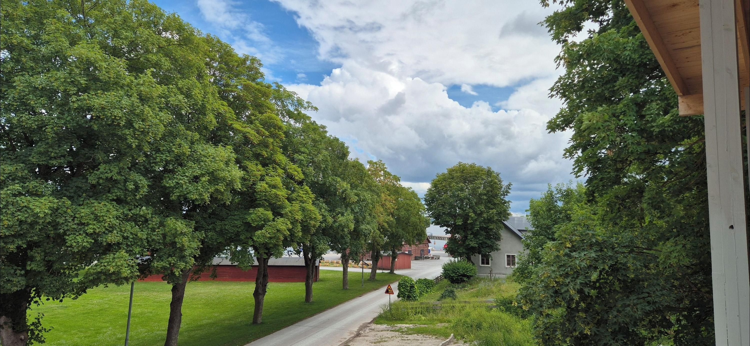 المظهر الخارجي