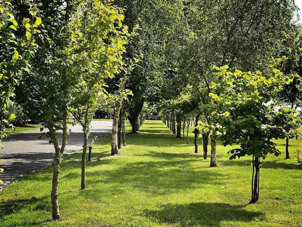 المظهر الخارجي صورة