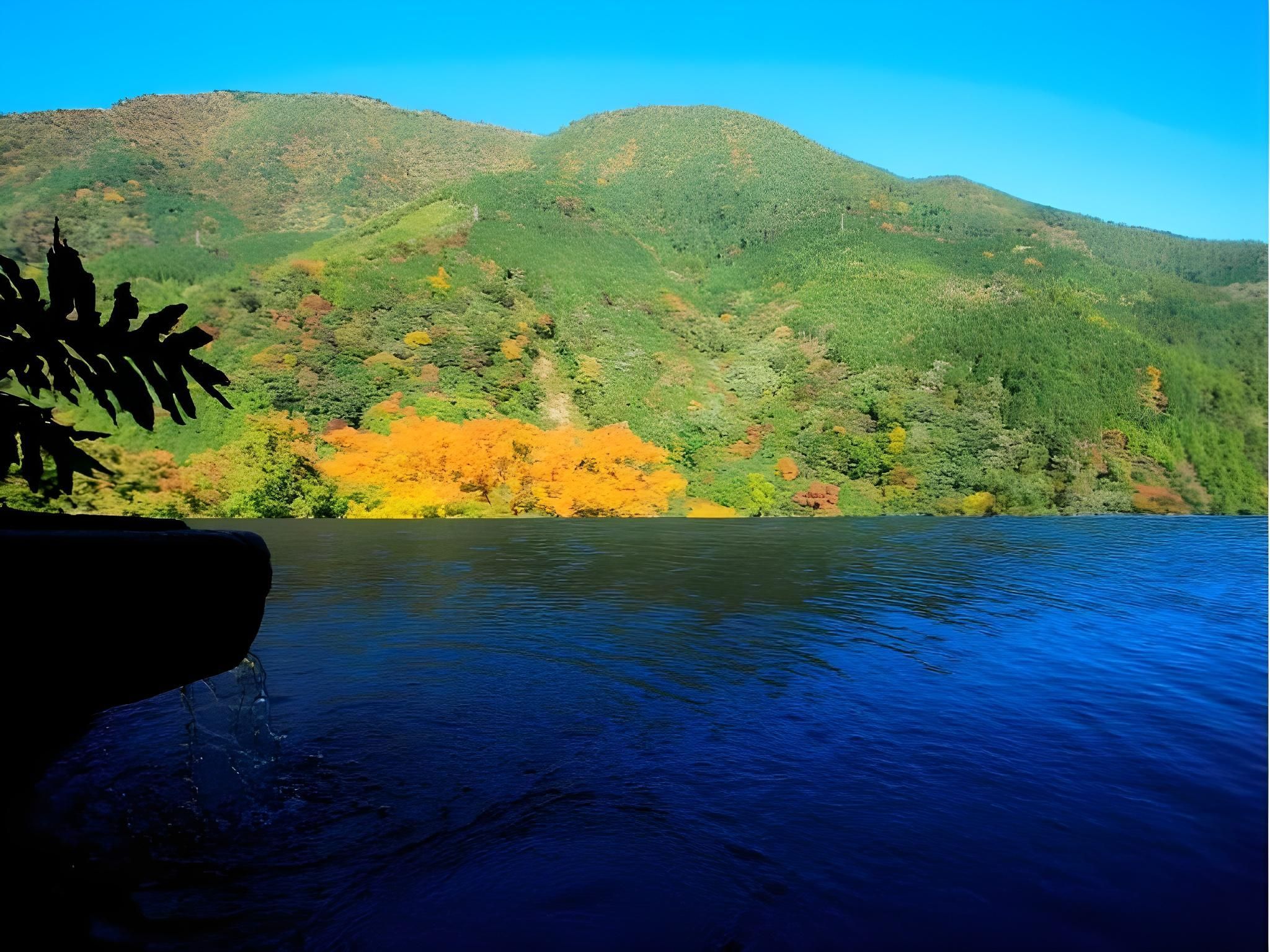 المظهر الخارجي