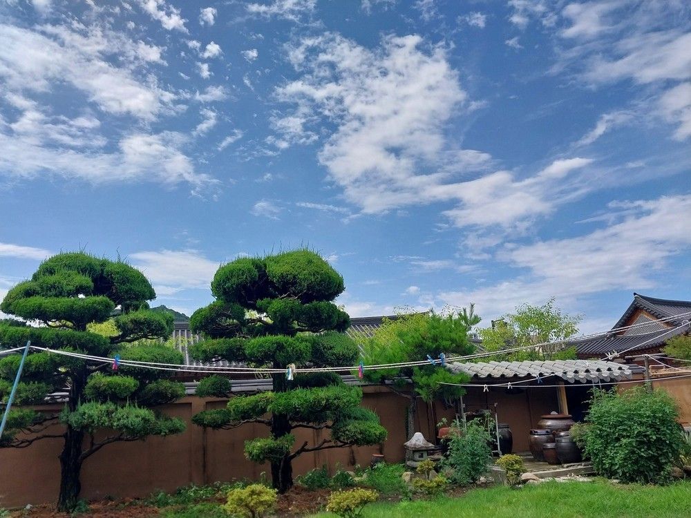 المظهر الخارجي