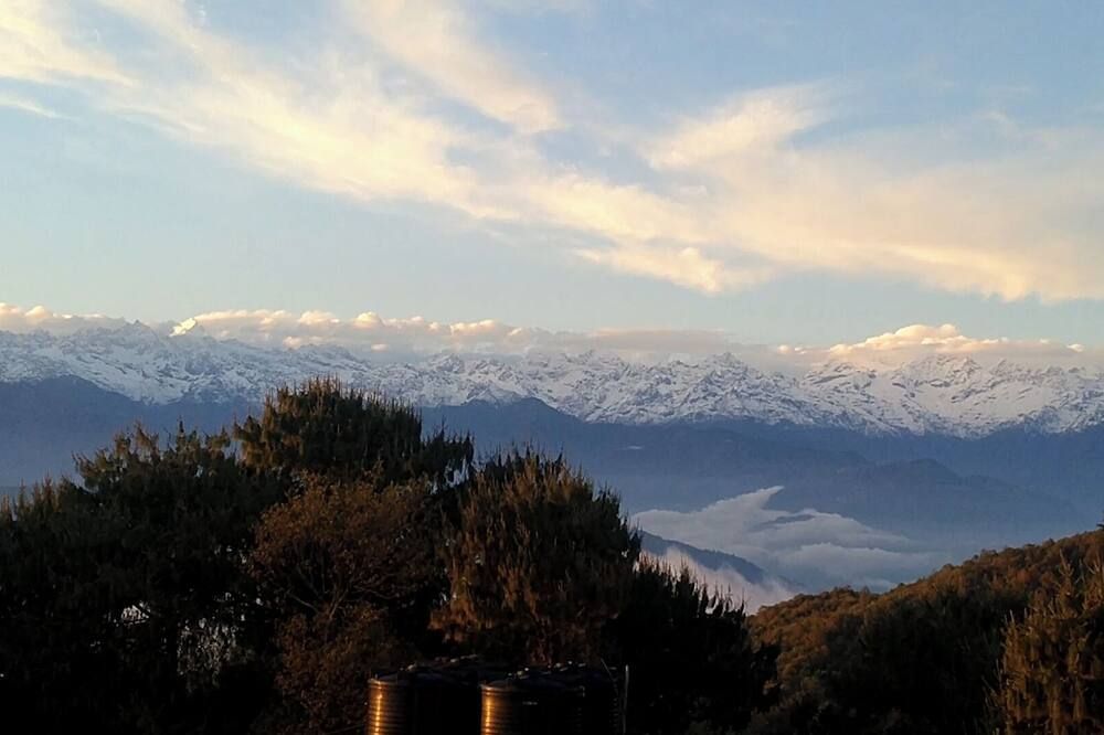 المظهر الخارجي