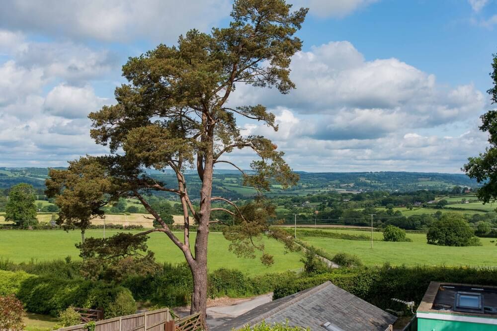 المظهر الخارجي