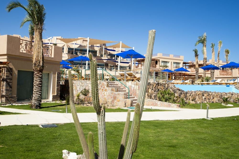 المظهر الخارجي