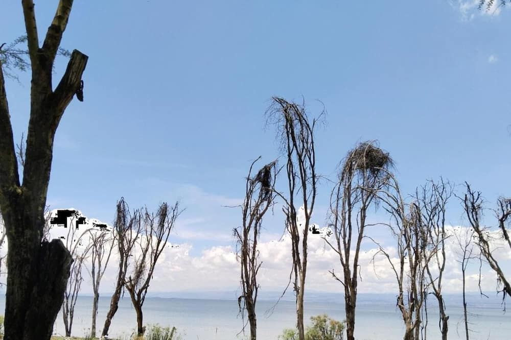 المظهر الخارجي