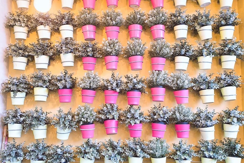 المظهر الخارجي