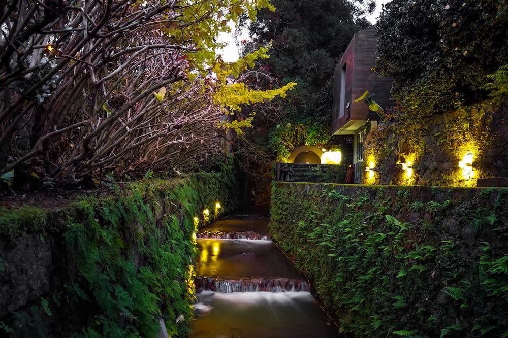 المظهر الخارجي