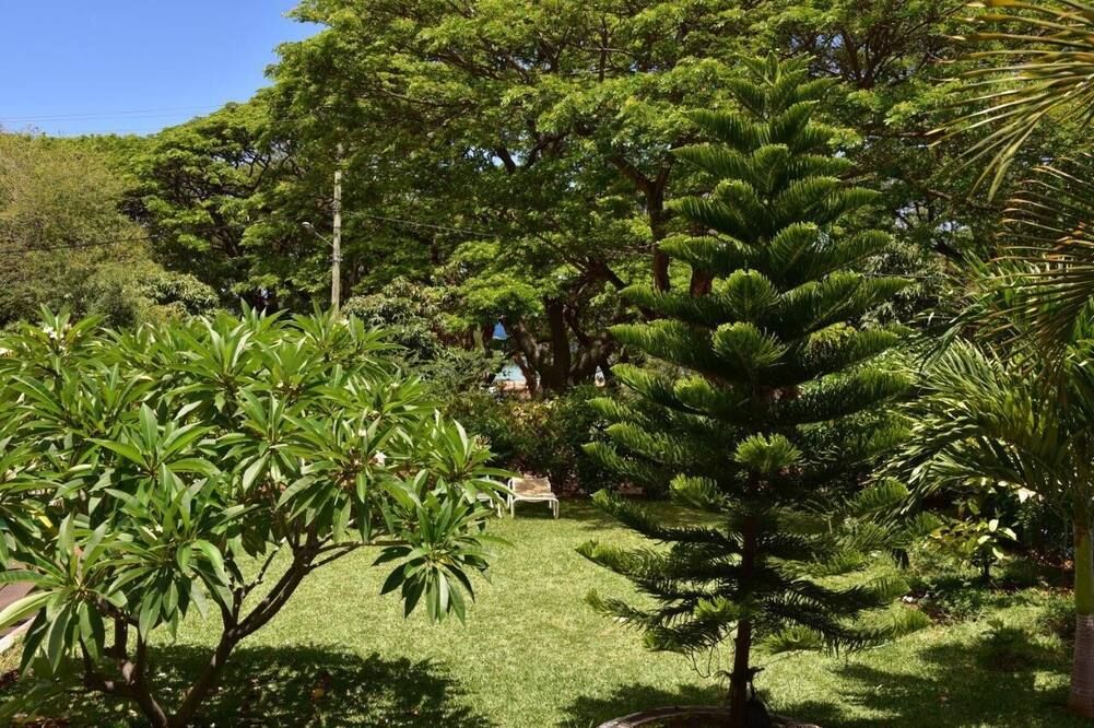 المظهر الخارجي