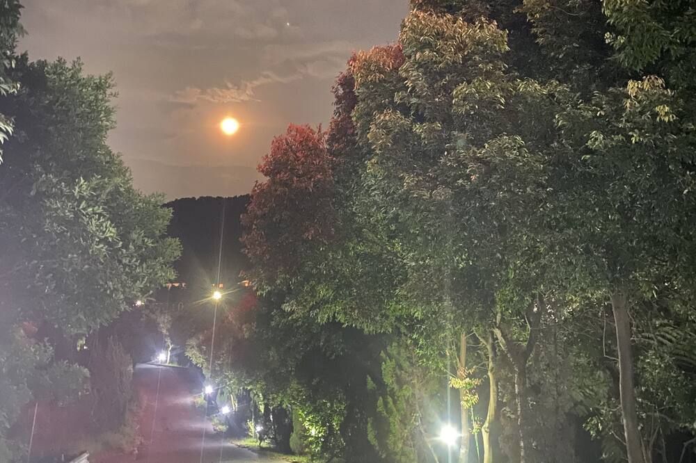 المظهر الخارجي