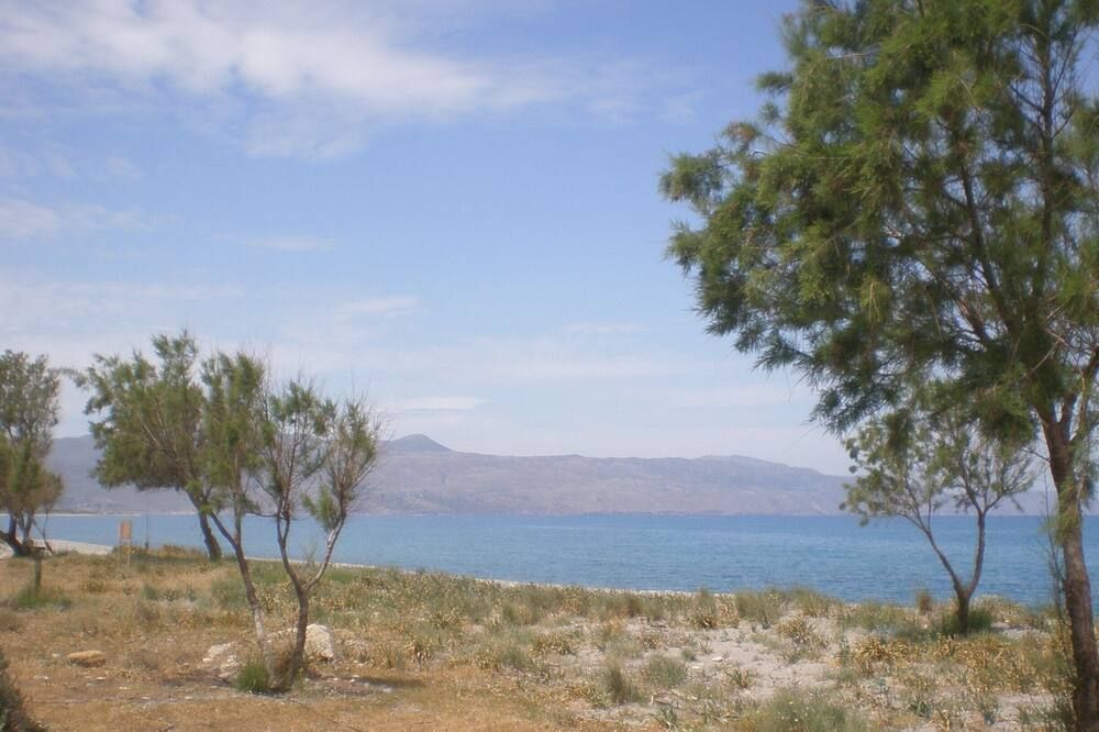 المظهر الخارجي