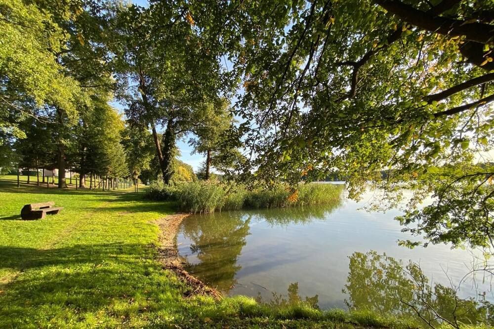 المظهر الخارجي