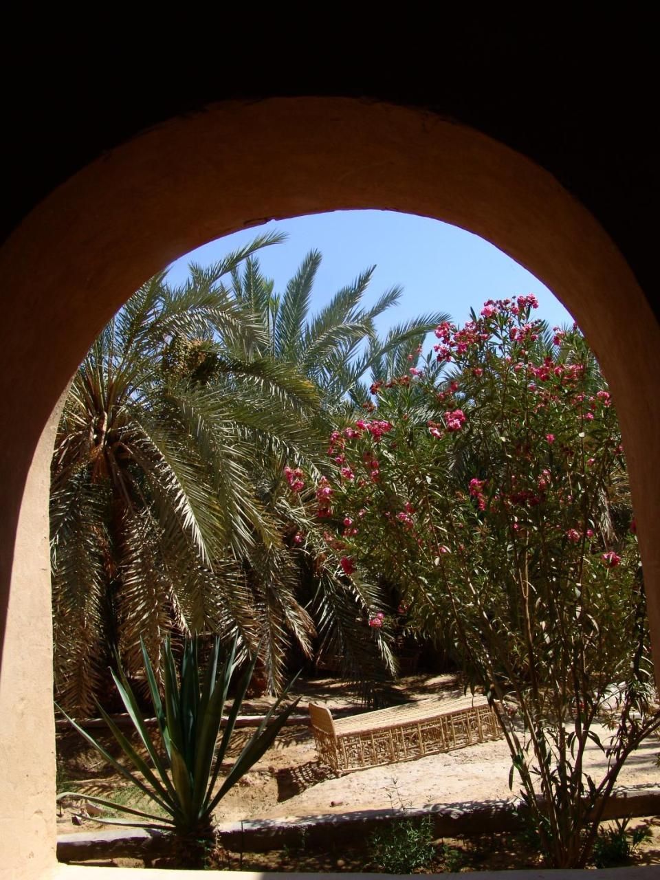 المظهر الخارجي