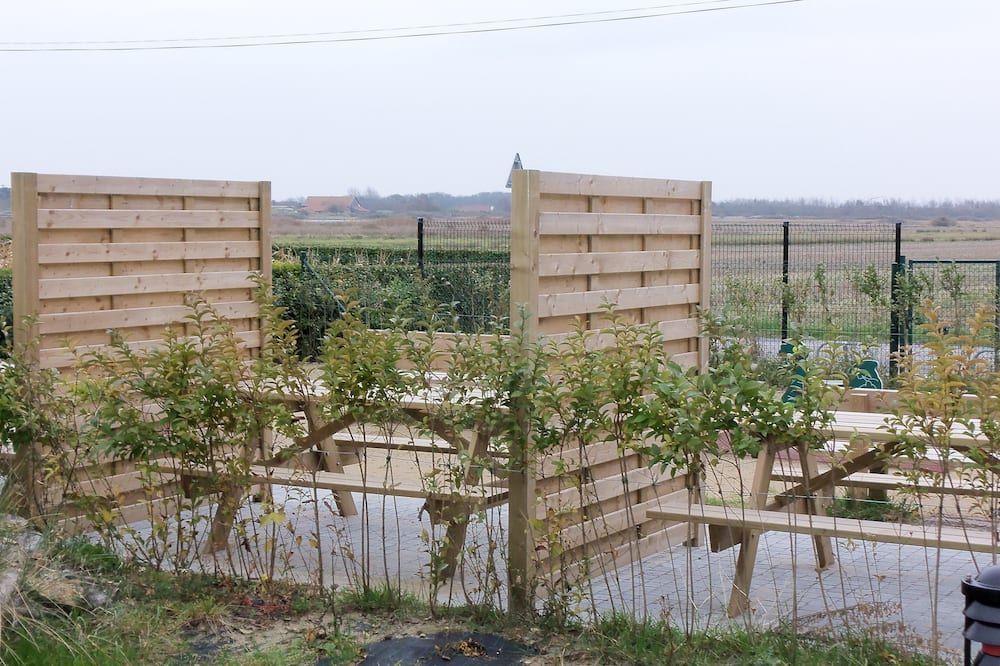 المظهر الخارجي