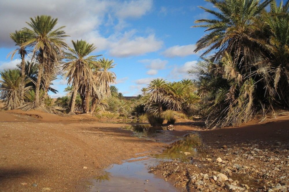 المظهر الخارجي