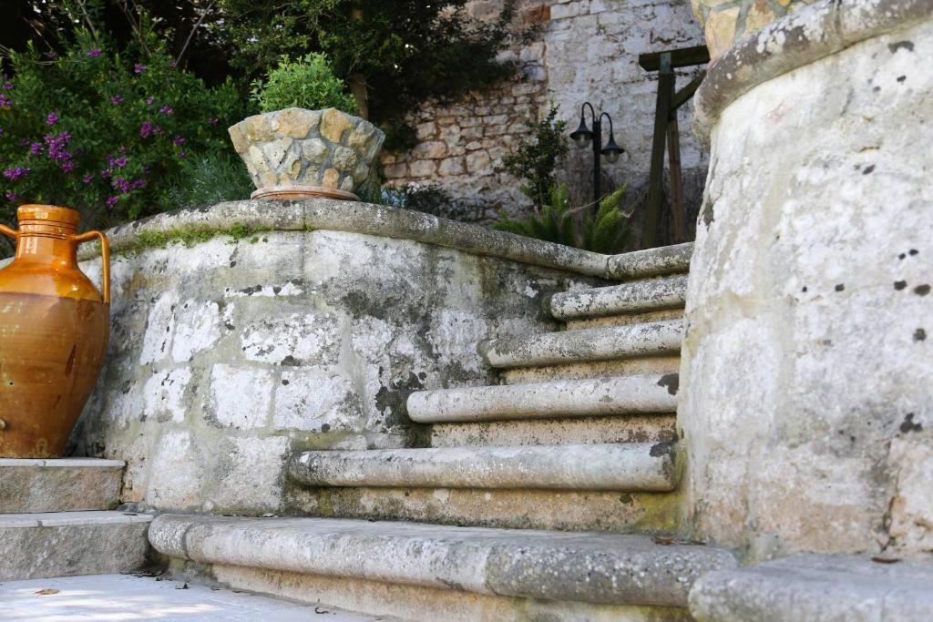 المظهر الخارجي