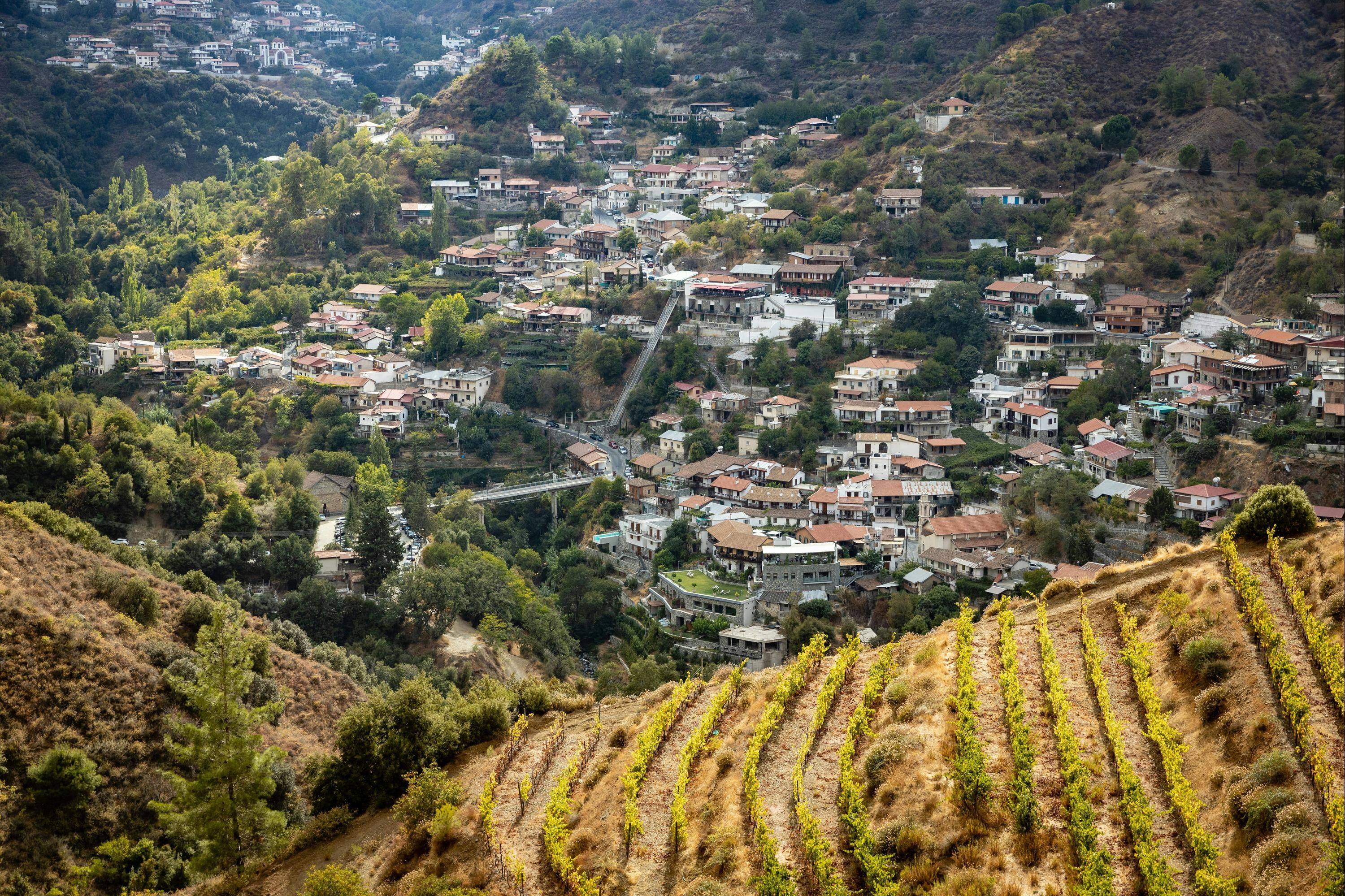 المظهر الخارجي