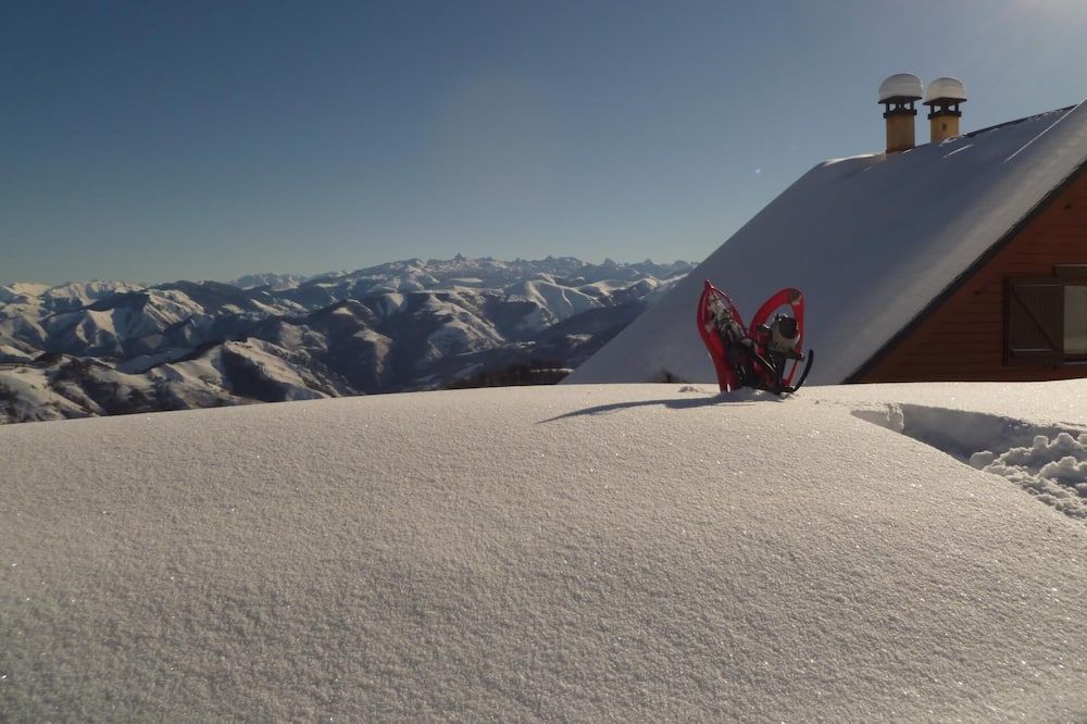المظهر الخارجي