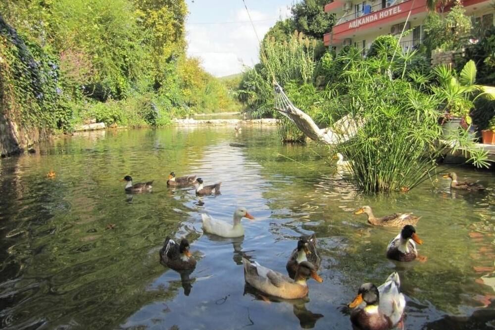 المظهر الخارجي